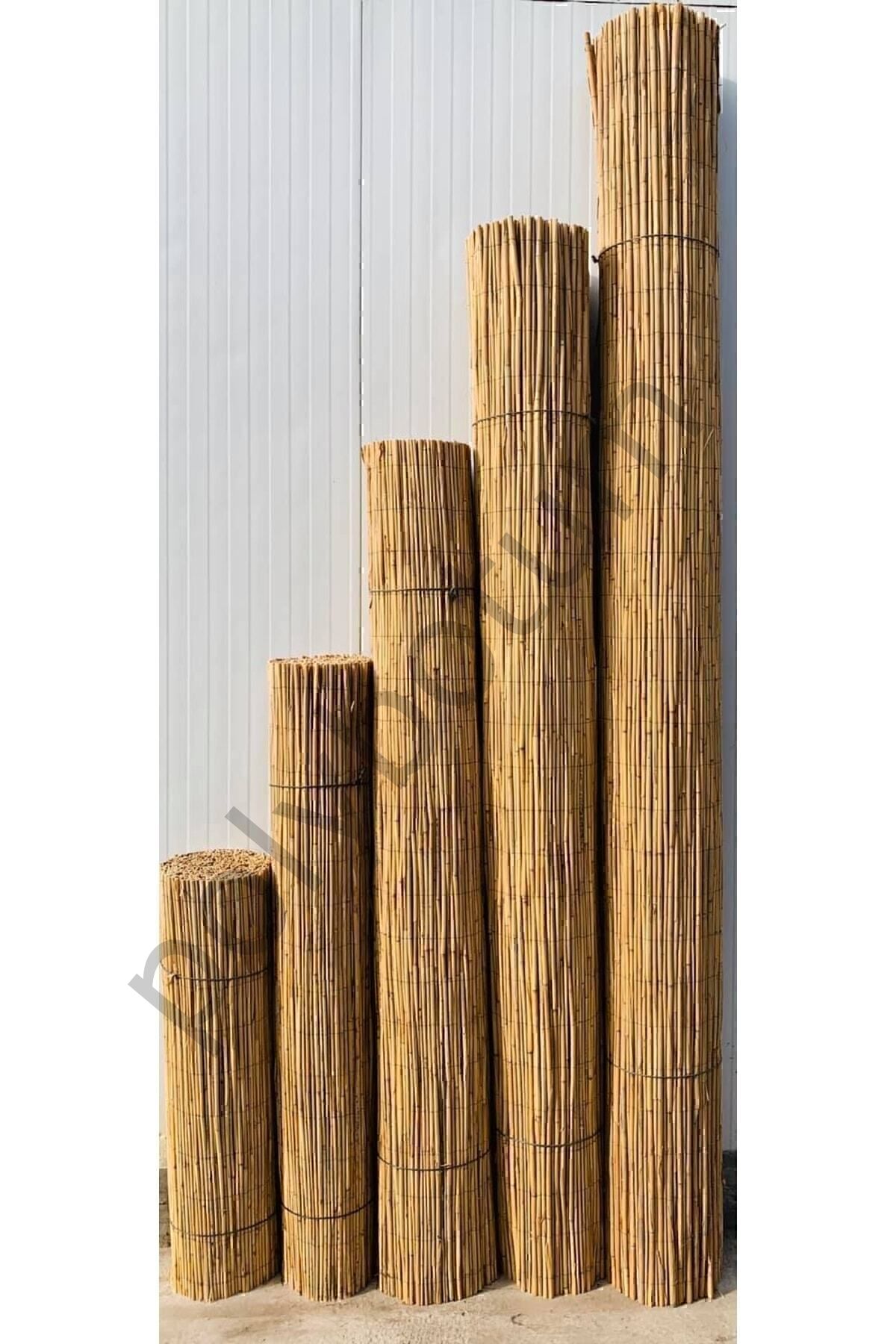 Kamış Çit Bambu Çit Hasır Doğal 1,00 X 5,00 Metre (TELLİ) bej Tek Ebat