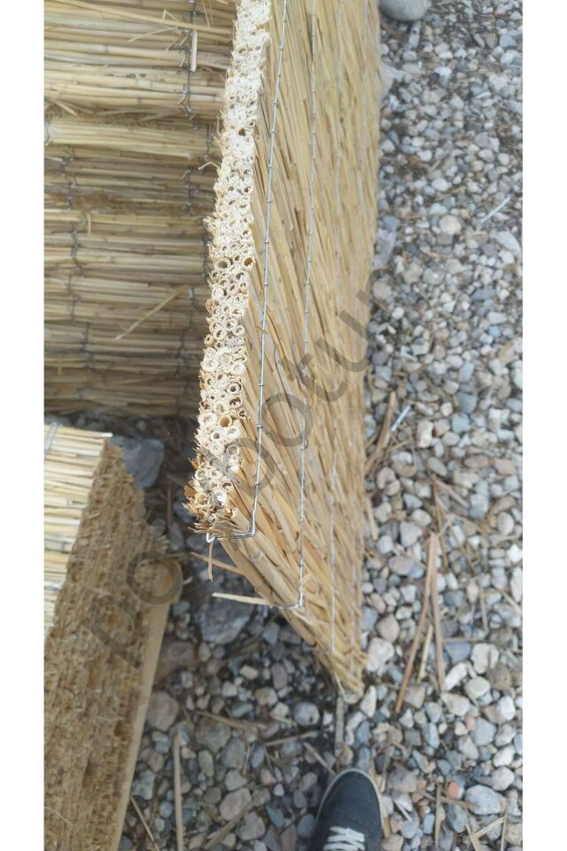 Doğal ve Dayanıklı Pres Bambu Kamış Balkon Çatı Kaplama (kalınlık , 2 cm 1 x 2 metre) Krem Tek Ebat 1 x 2
