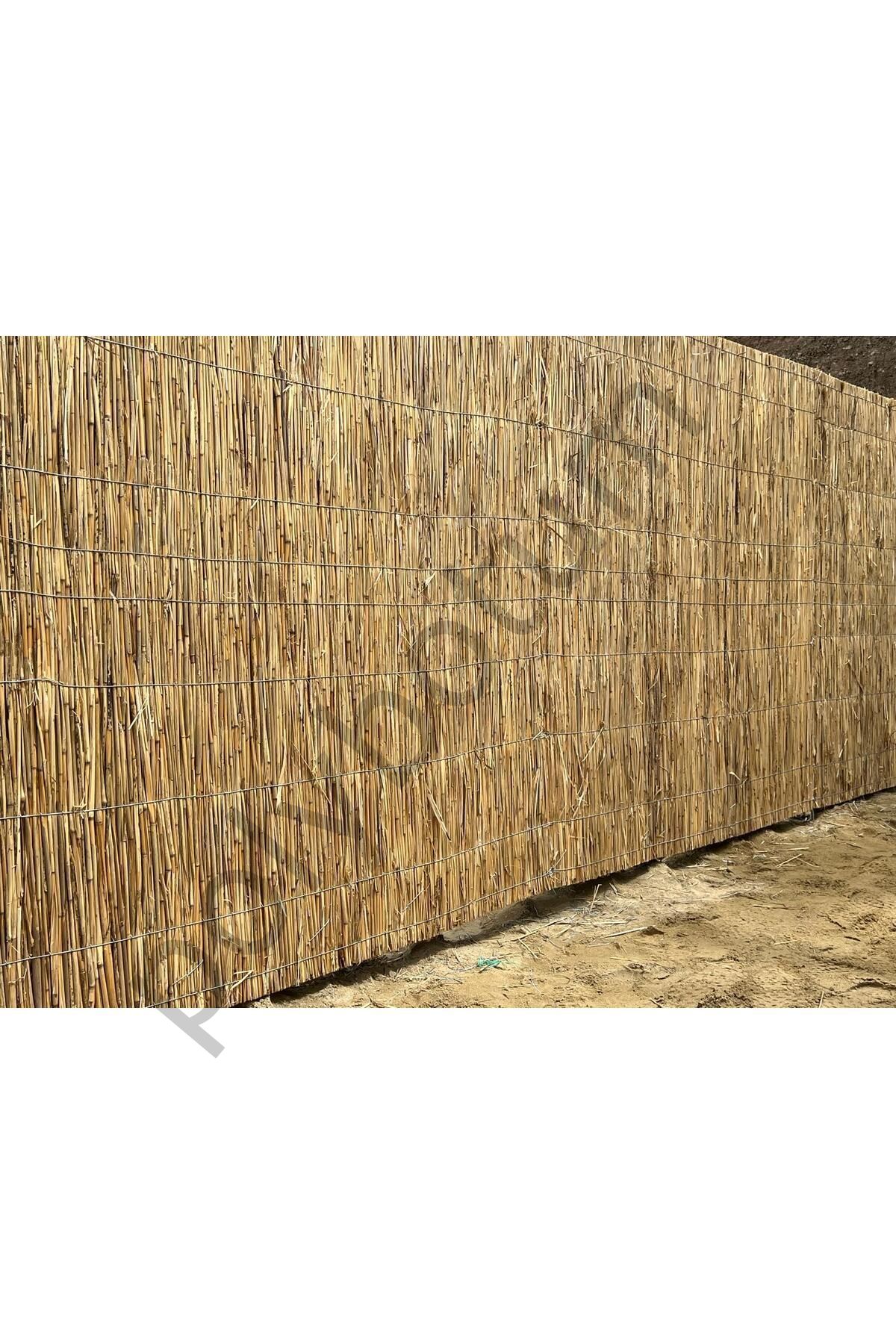 Doğal ve Dayanıklı Pres Bambu Kamış Balkon Çatı Kaplama (kalınlık , 2 cm 1 x 2 metre) Krem Tek Ebat 1 x 2