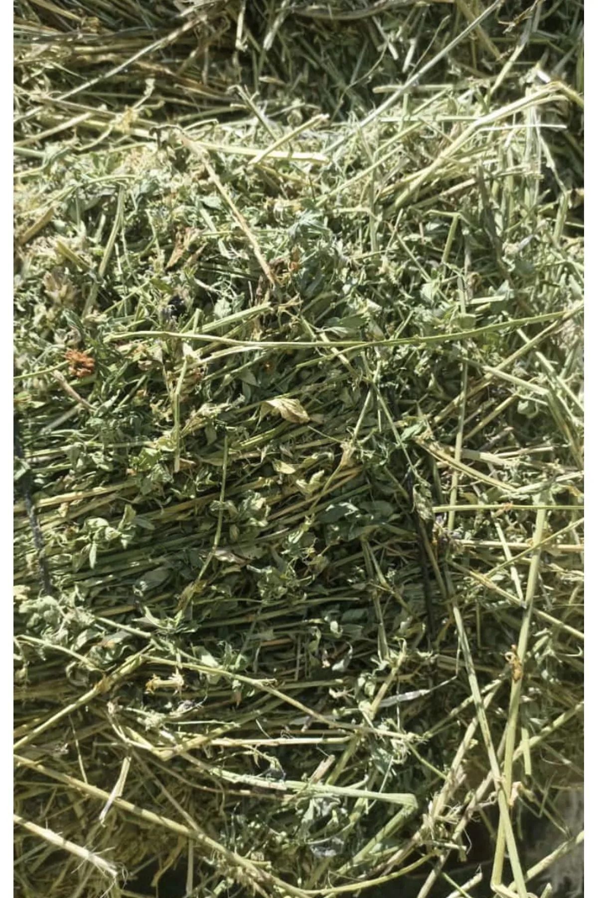 Kuru Yonca Kemirgen Otu 1 Kg Bol Çiçekli  Tek Ebat