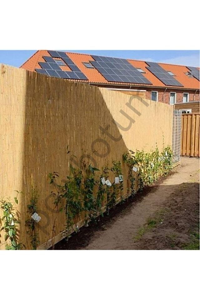 Doğal Kamış Hasır Çit 1,5m X 5m Doğal Bambu -bahçe Çiti - Gölgelik Hasır -tavan Dekorasyon turkuaz Tek Ebat 50 x 82