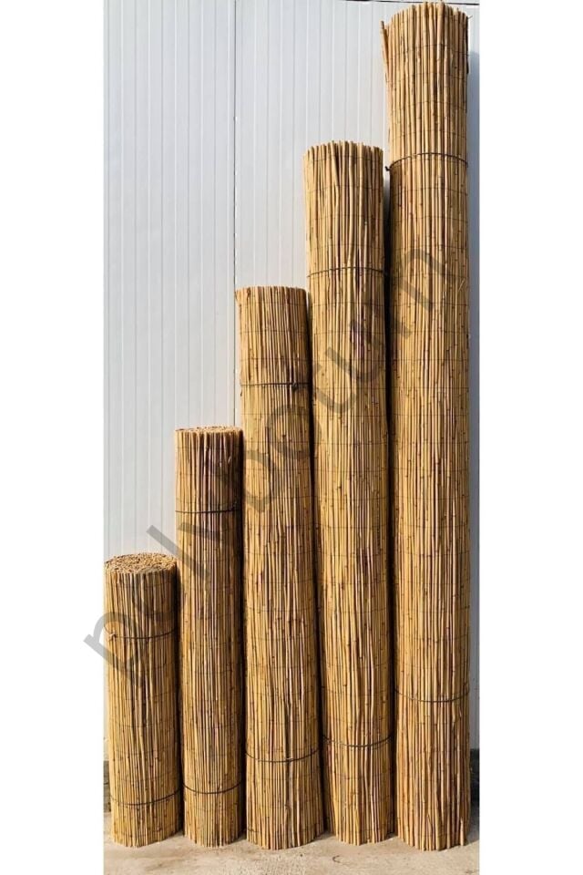 Kamış Çit Bambu Çit Hasır Doğal 1,00 X 5,00 Metre (TELLİ) bej Tek Ebat