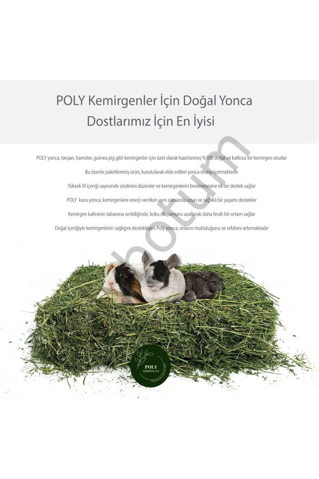 Kemirgenler Için Kuru Yonca Otu 750 Gr.  Tek Ebat