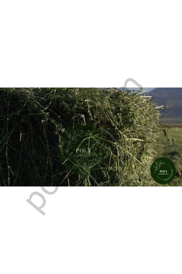 Kemirgenler Için Kuru Yonca Otu 750 Gr.  Tek Ebat
