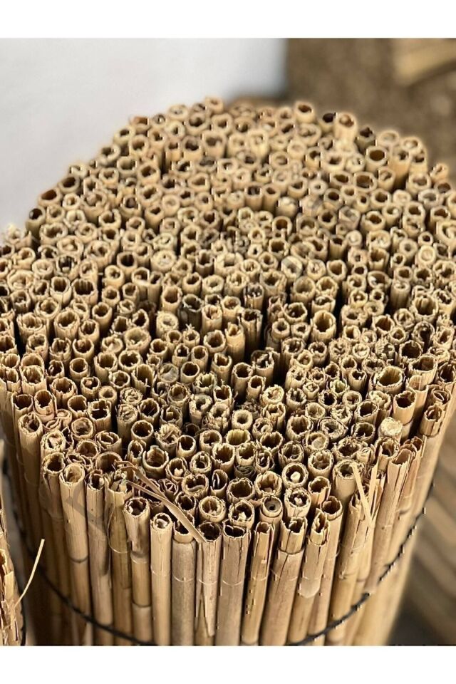 Doğal Kamış Hasır Çit 1m X 5m Doğal Bambu -bahçe Çiti - Gölgelik Hasır -tavan Dekorasyon turkuaz Tek Ebat 100 x 500