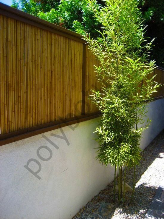%100 Doğal  Bambu Kamış Hasır Bahçe Balkon Çit Gölgelik Gizlilik Çiti